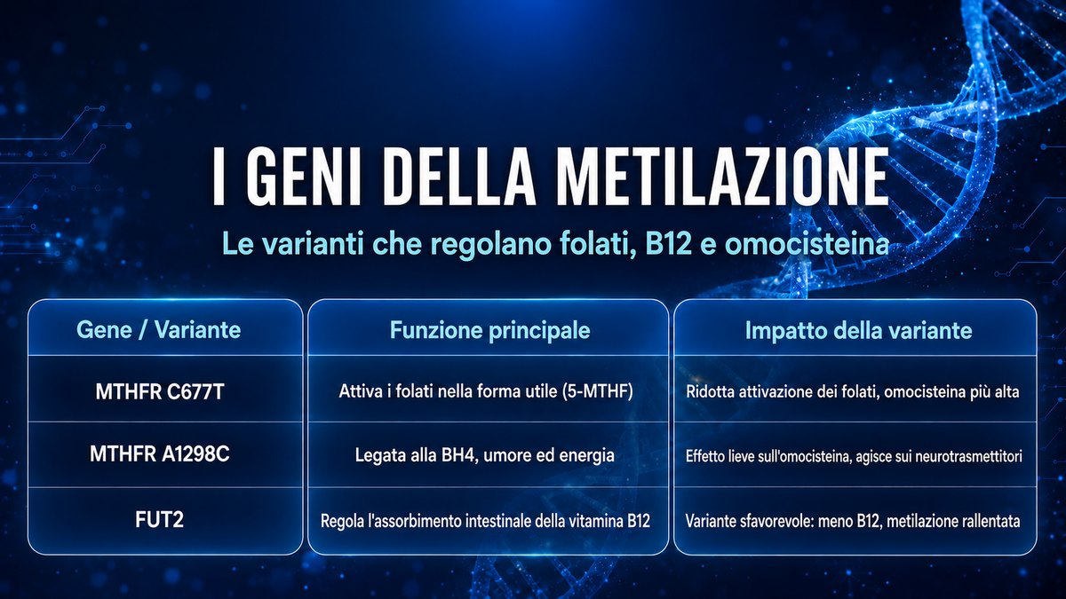 MTHFR e metilazione: folati e omocisteina