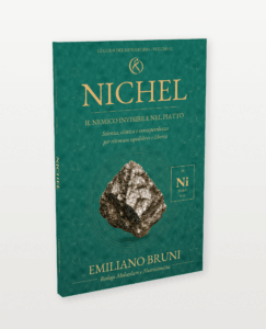 Nichel, volume 01 della collana Le Guide del Metodo BMS