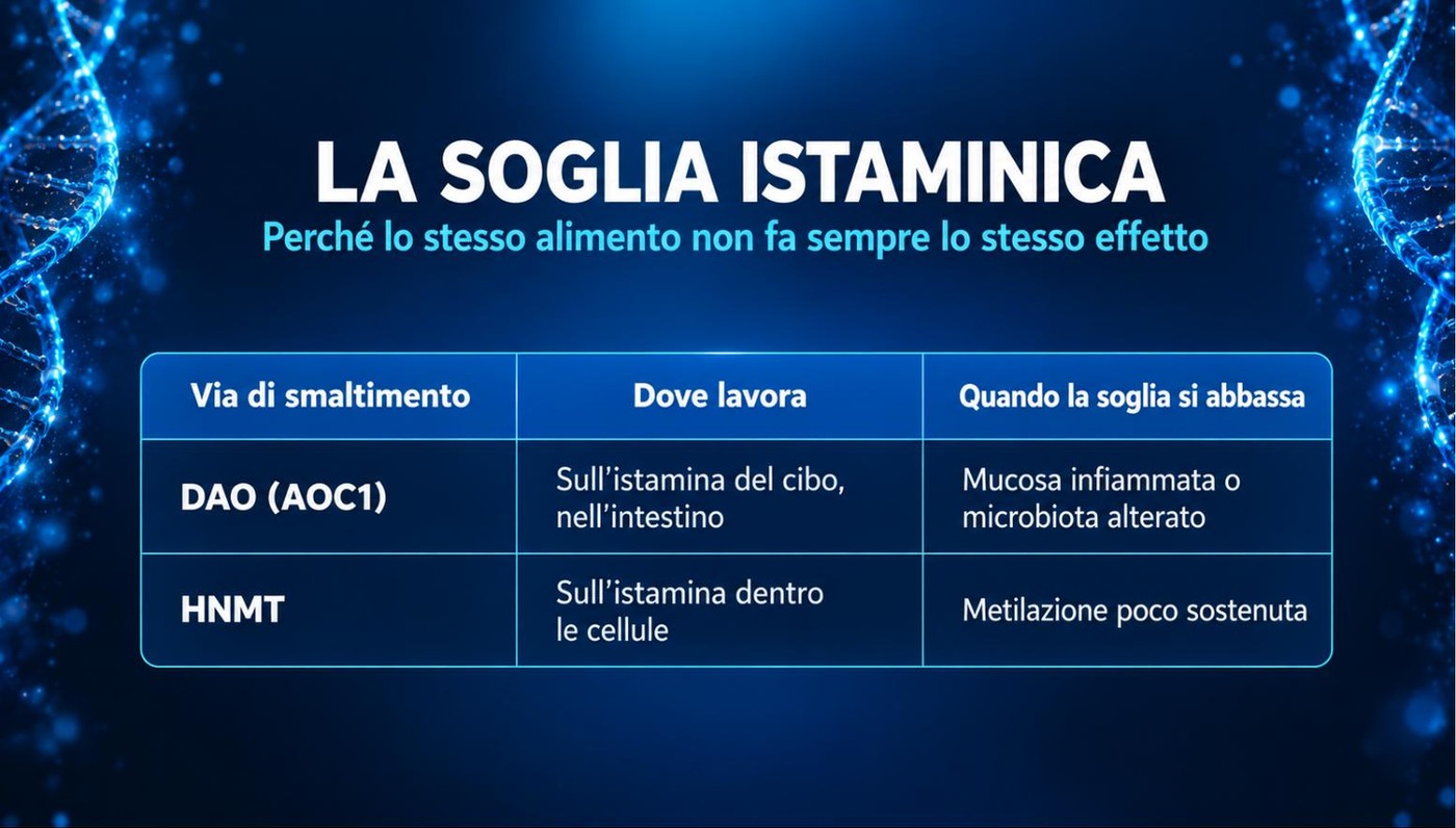 La soglia istaminica: il recipiente riempito da cibo, ormoni, stress, farmaci e intestino e svuotato da DAO e HNMT
